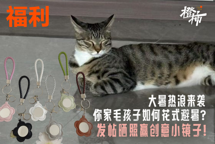 7d75a36bb31382ecd3652b93d998ae0.jpg