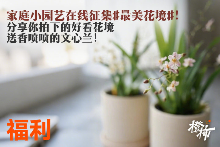 d4c801b849c817547f09f65d0d87ab49.jpg