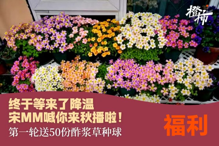 0ff4b80310664f8ff8a825f121d55686.jpg