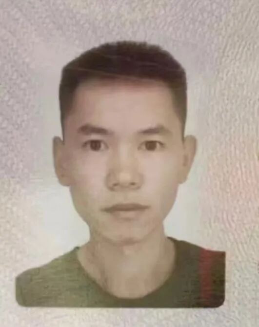 qq_pic_merged_1769676230486.jpg